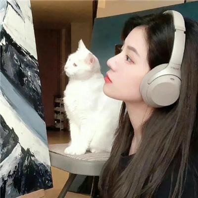 错位囧途