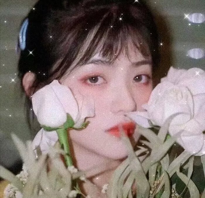 苹果恋爱多